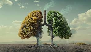 Health ThreeTrees com vn: A Comprehensive Guide to Wellness in the Digital Age